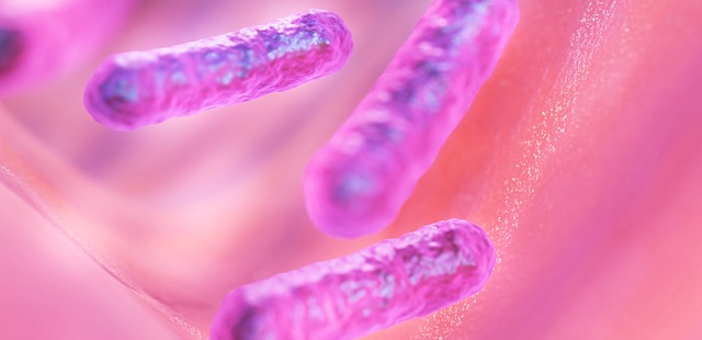 bacillus-cereus-tiac.jpg